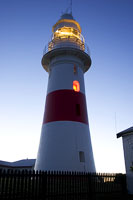 Low Head sector light